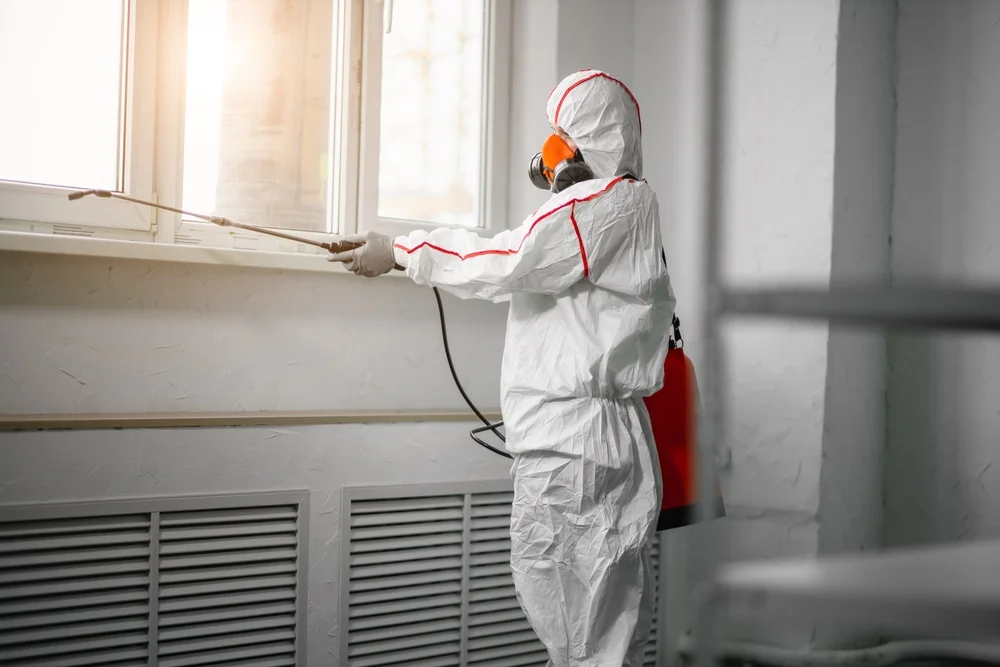 Professional mold remediation services in West Townsend, MA